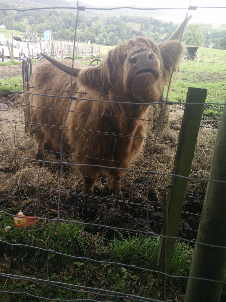 _TravelingMatt_'s tweet photo. This funny looking hairy creature kept pulling faces at me! https://t.co/aRrzlLMDhx