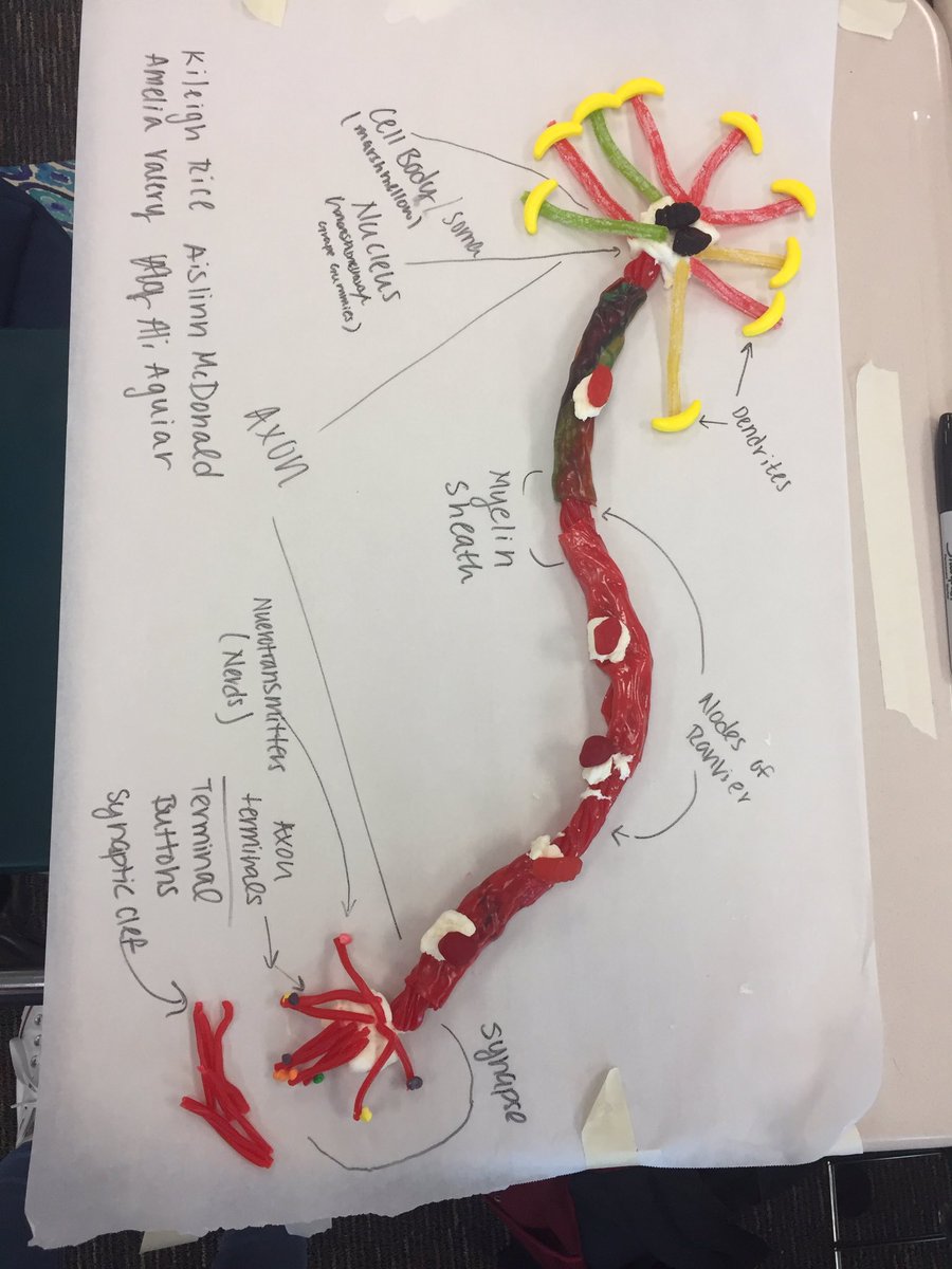 RiceKileigh's tweet photo. #getpsychedvhs AP psych is the best class ever!! https://t.co/KwG3qd7Egu