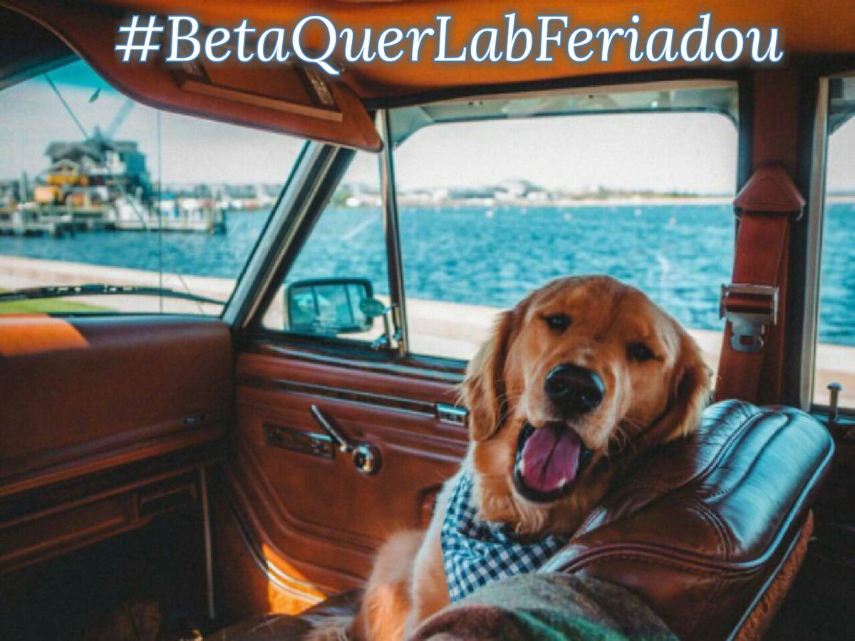 #BetaQuerLabFeriadou Datas especiais devem ser comemoradas. Mais um beta fechou a pontuação! Praia, churras, passeio. Escolha #BetaQuerLab !