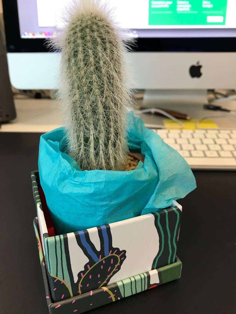 Robert Hull tweet media