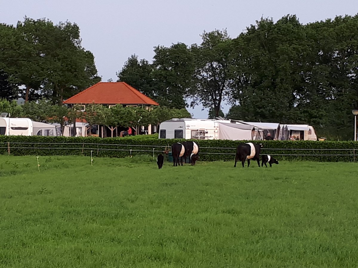 MoesJohan's tweet photo. Vakwerk door de mannen  van @smeilof straks mooie weide voor de Lakenvelders. https://t.co/qdh6Yi3Tpa
