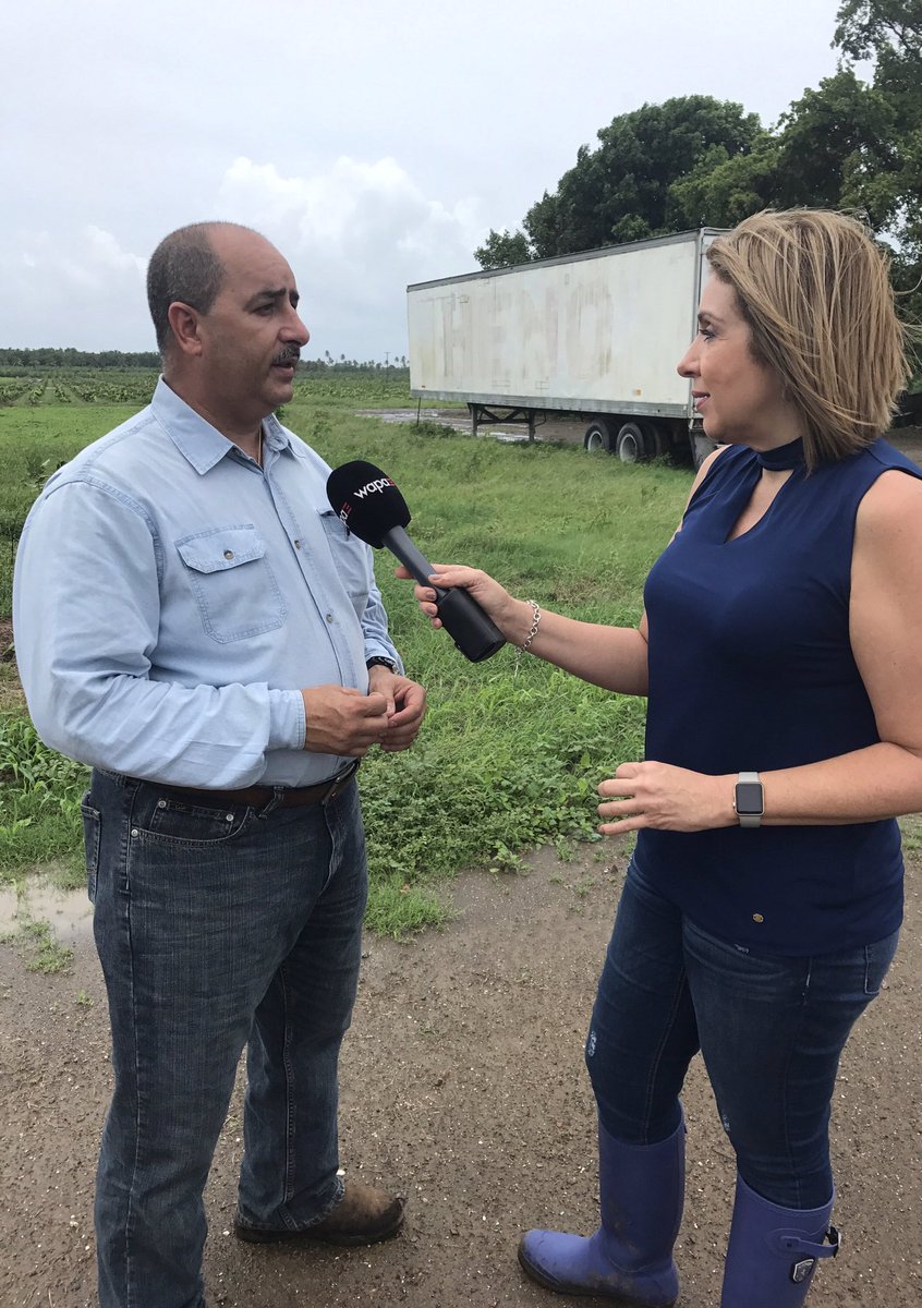 Maritza Cañizares (@maritzawapa) on Twitter photo Pérdidas parciales en sector agrícola tras paso de #Irma. Cultivos de plátanos y café fueron los más afectados. <a href="/NoticentroWAPA/">NotiCentro</a> Pérdidas parciales en sector agrícola tras paso de #Irma. Cultivos de plátanos y café fueron los más afectados. <a href="/NoticentroWAPA/">NotiCentro</a>