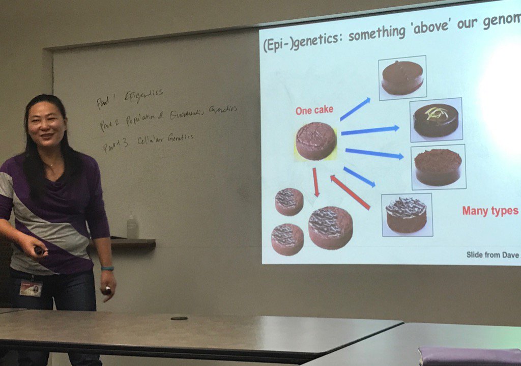 foodskop's tweet photo. #epigenetics defined by cake decorating by Xuehua Zhong @uwgenetics @UWMadisonCALS #firstdayofclasses #sweetscience https://t.co/cLgLcKZGre