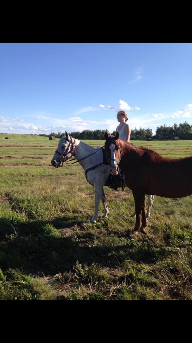 jenna_baragar's tweet photo. My baby boy Frost is for sale. He's a loving horse and is very well broke. He's about 17 years old. we're asking $1500. text me 240-7996 🙂 https://t.co/uKoCnA3WYj