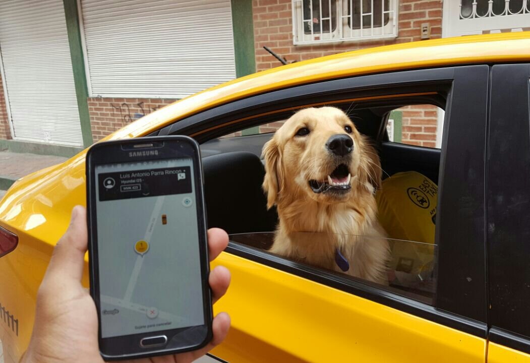 JonathanParra10's tweet photo. @easytaxicol #EasyMascotas ¡Con la nueva opción puedo viajar con Jacob a donde yo vaya! https://t.co/8KdMexxtP1