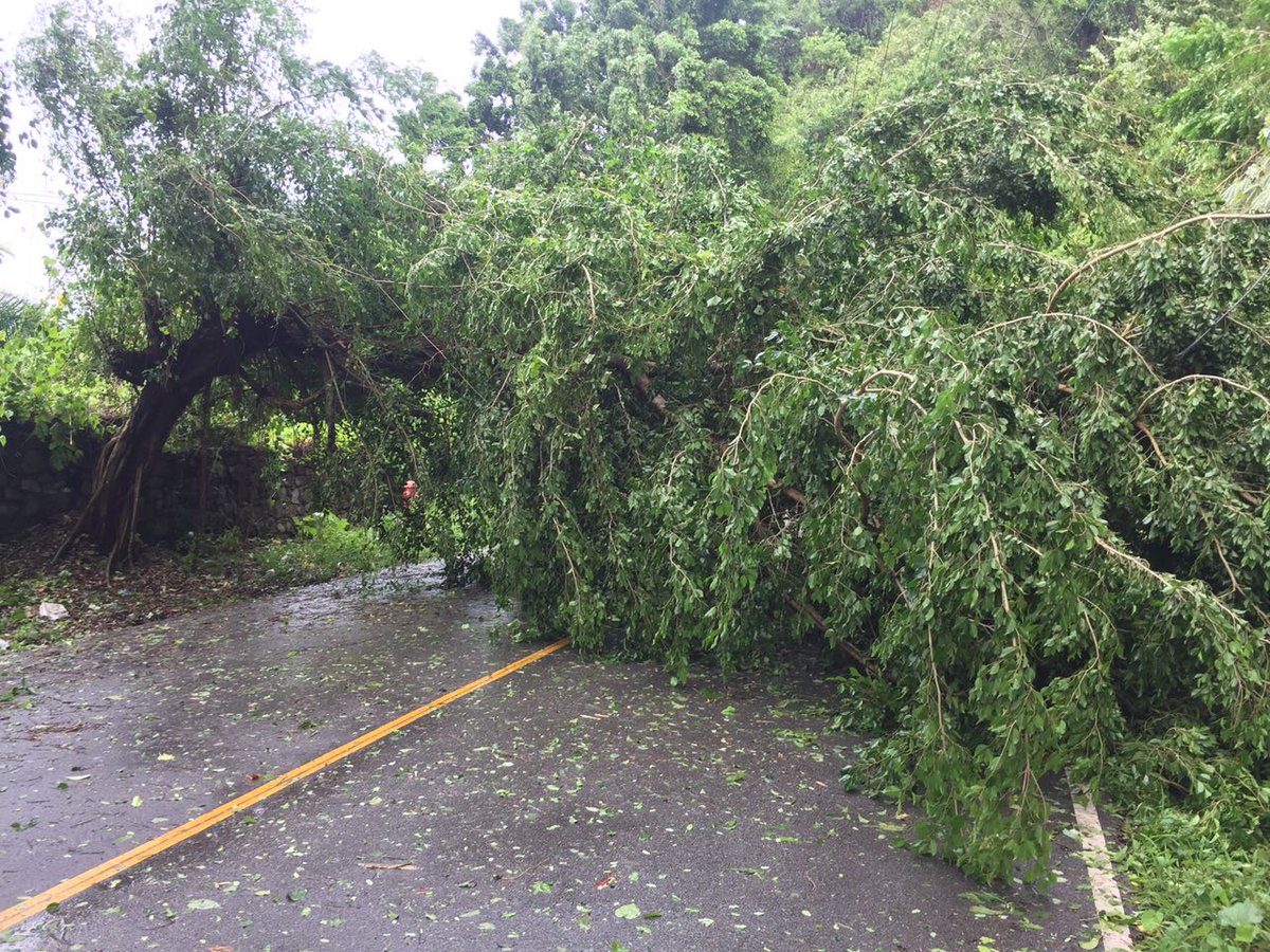 VicenteMendez28's tweet photo. Carretera los Cacaos en #Samaná intransitable por árboles en el suelo debido al paso de #Irma https://t.co/WPfbstprZh
