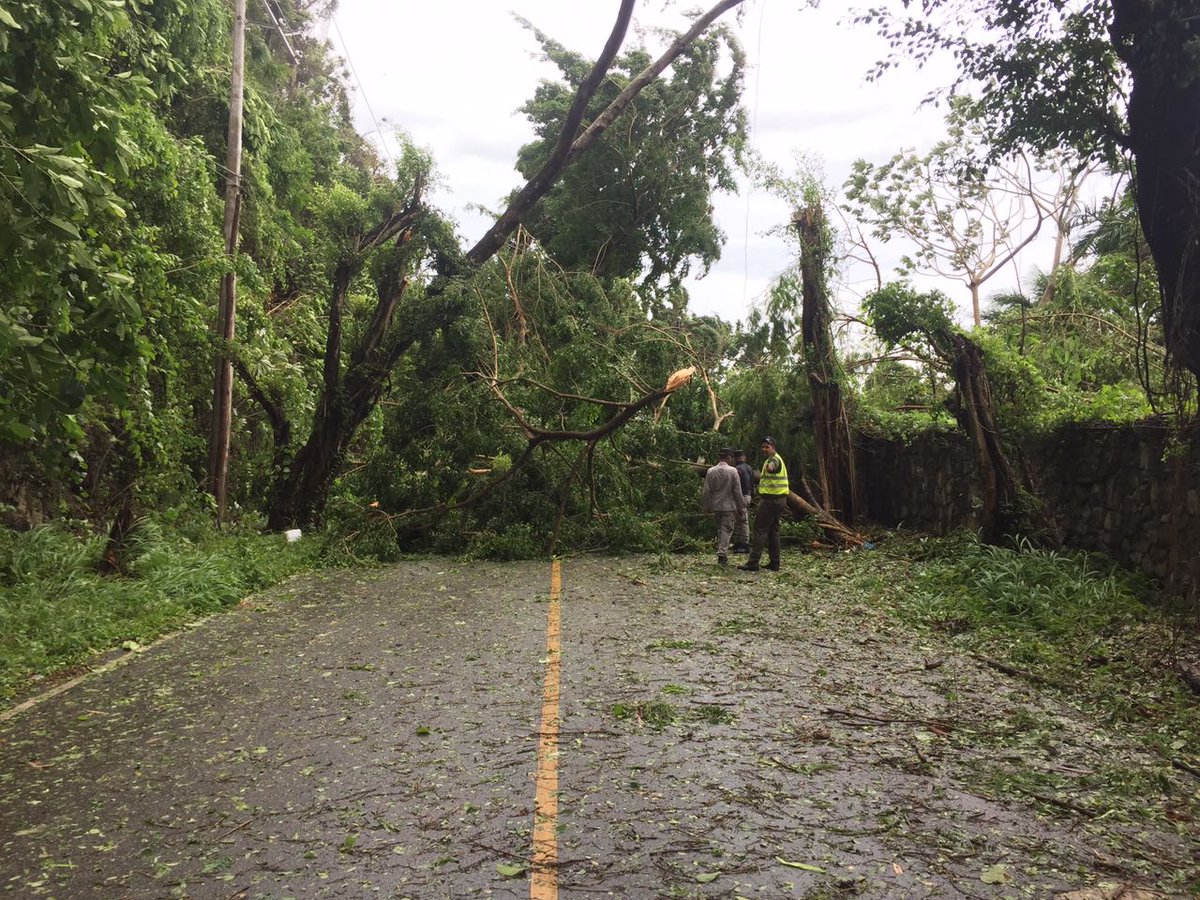 VicenteMendez28's tweet photo. Carretera los Cacaos en #Samaná intransitable por árboles en el suelo debido al paso de #Irma https://t.co/WPfbstprZh