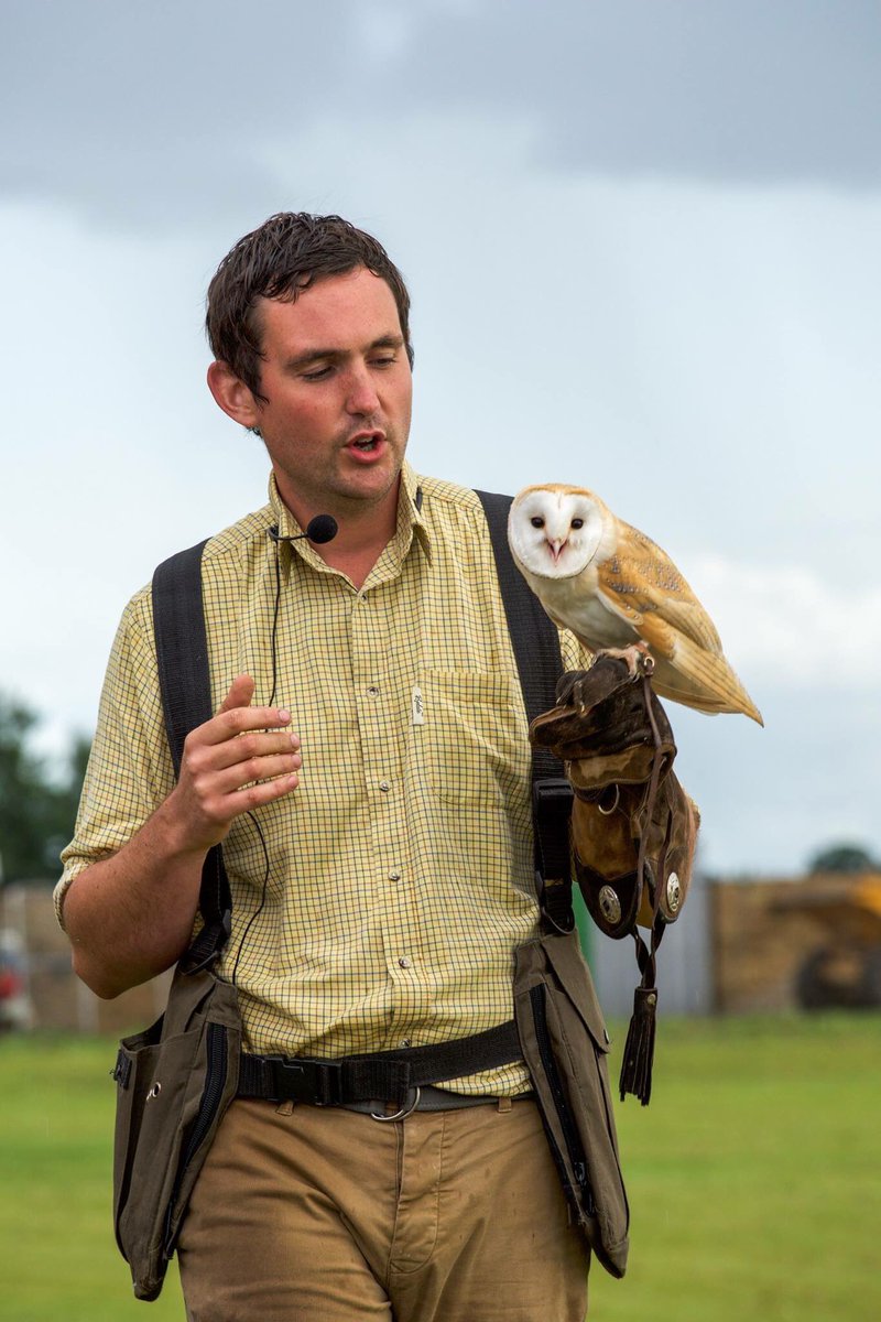 Tizer_Studio's tweet image. Birds of prey at Finberry School&apos;s ribbon cutting service. The stunning new developement by @morgansindallci 
#birdsofprey #event #nature