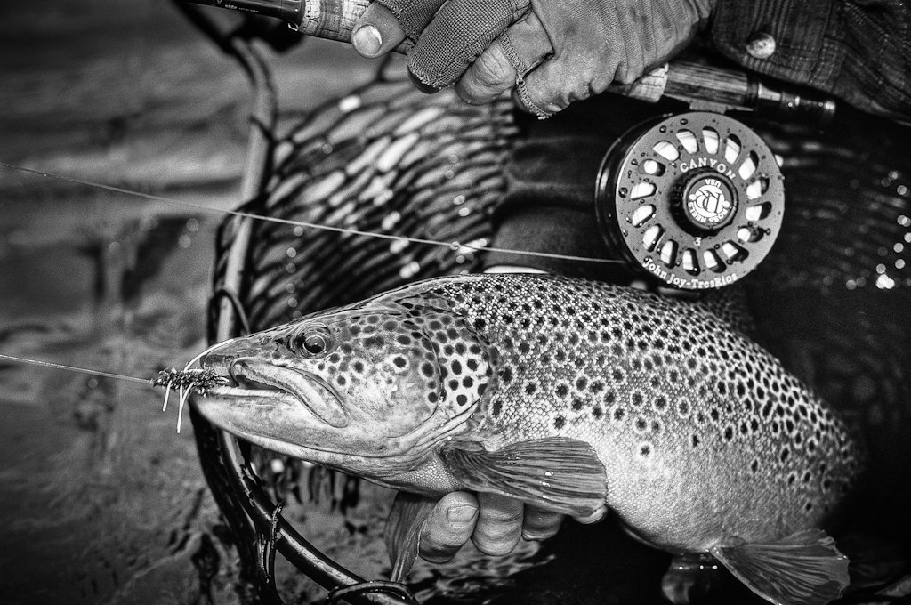 revistaaire's tweet photo. Ejemplar de trucha marrón en el río Baker. Foto de @franbedeschi #flyfishing #catchandrelease #trout #baker #river #aysén #patagonia #chile https://t.co/9OAZbce9T2