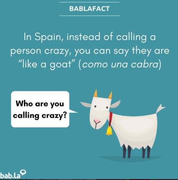 babla's tweet photo. ππππππ
#languages #Spanish #bablafact https://t.co/GxCPqmQwnd