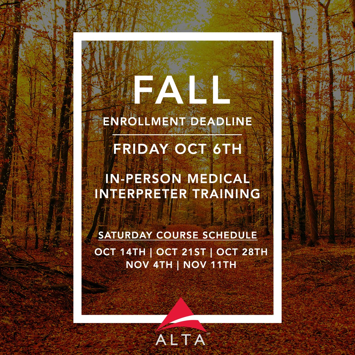 AltaLanguage photo