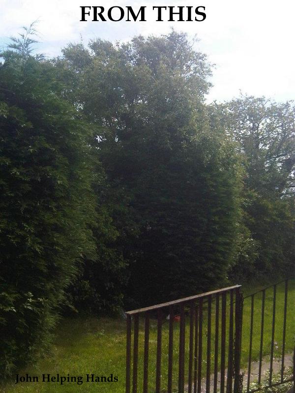 johnhelpinghand's tweet photo. John Helping Hands Garden Service At Affordable Rates Is Taken On New Customers #Johnstonebridge #Moffat #Lockerbie #Dumfries https://t.co/xFSEuG3w36