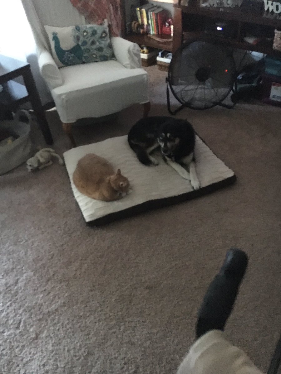 FastCat1107's tweet image. The highlight of my day!  #trsracing #ilovemykids