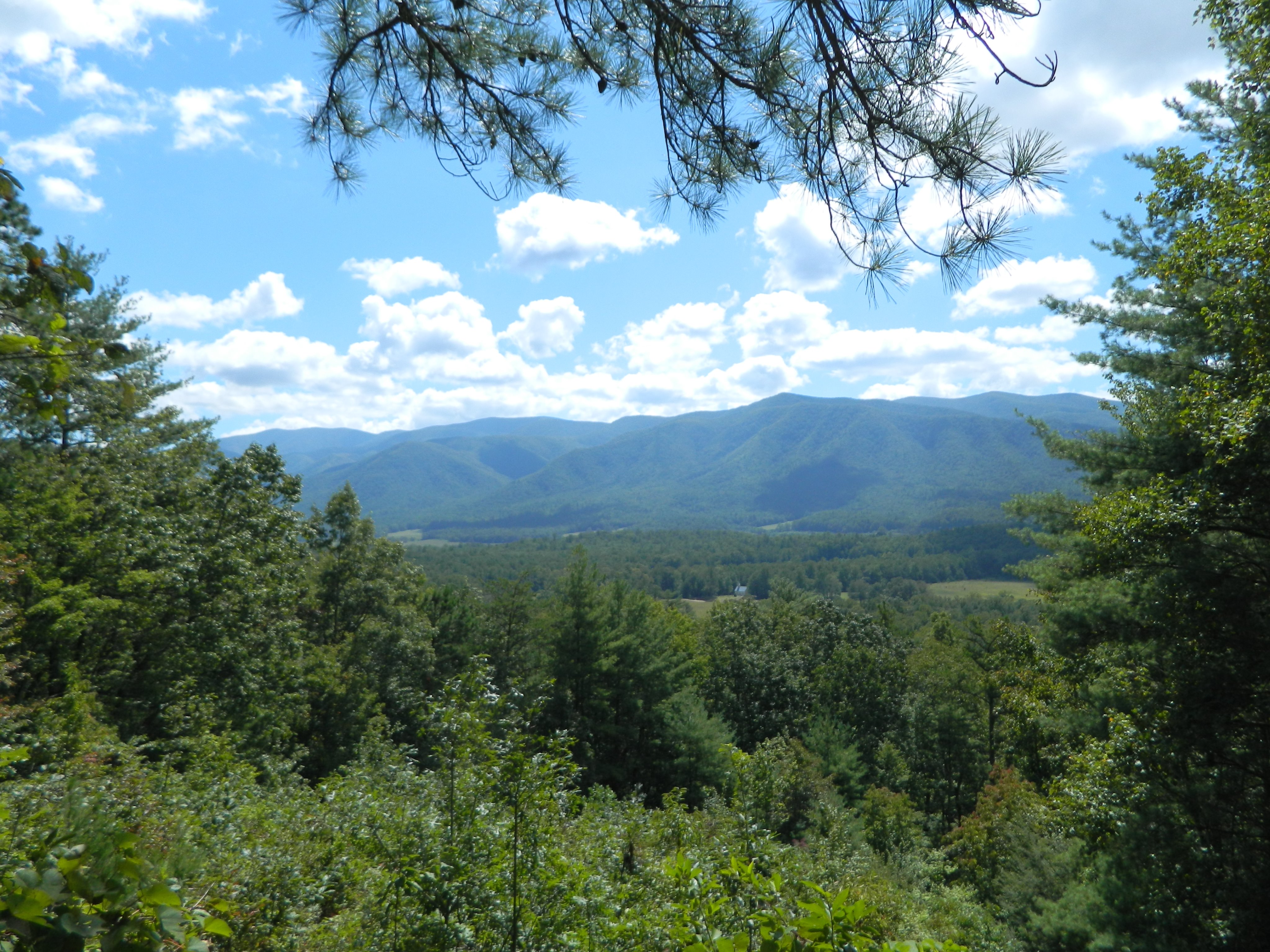 Gsmnp 2024