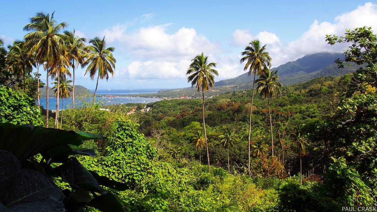 Beautiful views of the Cabrits National Park and Prince Rupert Bay greet Waitukubuli National Trail hikers when they take on segment 11