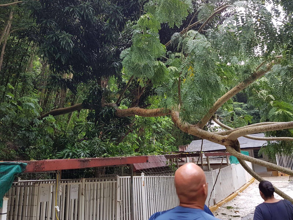 🆘 #HurricaneIrma has left us without power or running water. We need to RAISE $15K for a generator &amp; water tanks >> alrcares.com/donate