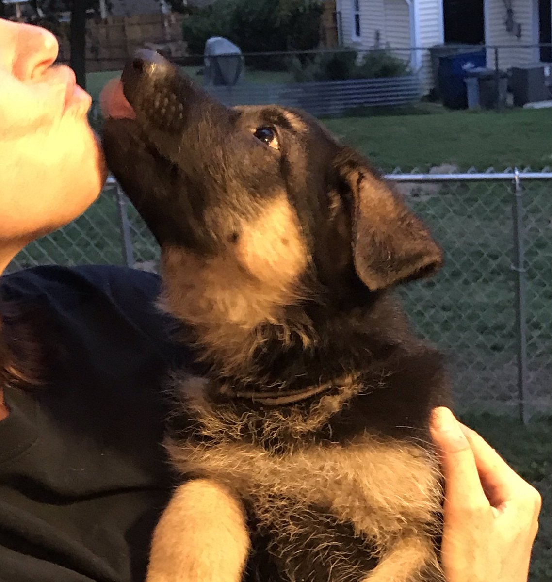 jenbakerNC's tweet photo. never underestimate the power of being a good kisser
#dogtraitshumansneed https://t.co/zK4GrE1N0C
