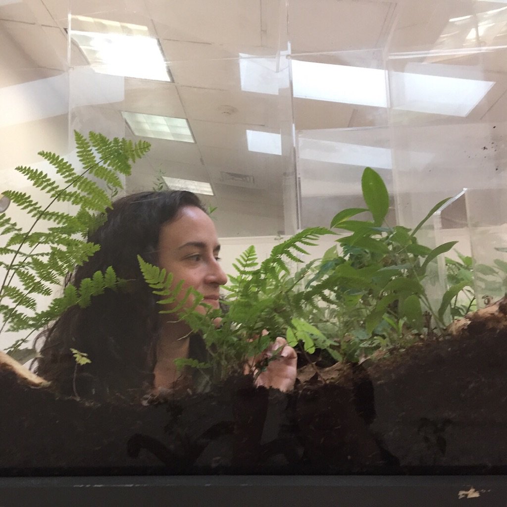 SchuylkillArt's tweet image. #Anthrobotanical opens tonight - join us for a reception from 6-8pm! 🔎🌱 #VaughnBell #RachelEng #EnvironmentalPerformanceAgency #EllieIrons