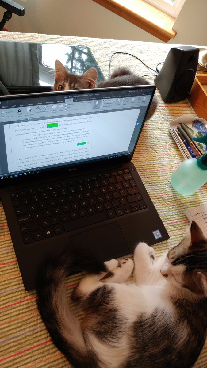 makenzicrouch's tweet photo. Working from home is so hard... ๐ฑ๐ฑ๐๏ธ
#freelancing #workcats #editing #kittens https://t.co/D2WE2ZTqgV