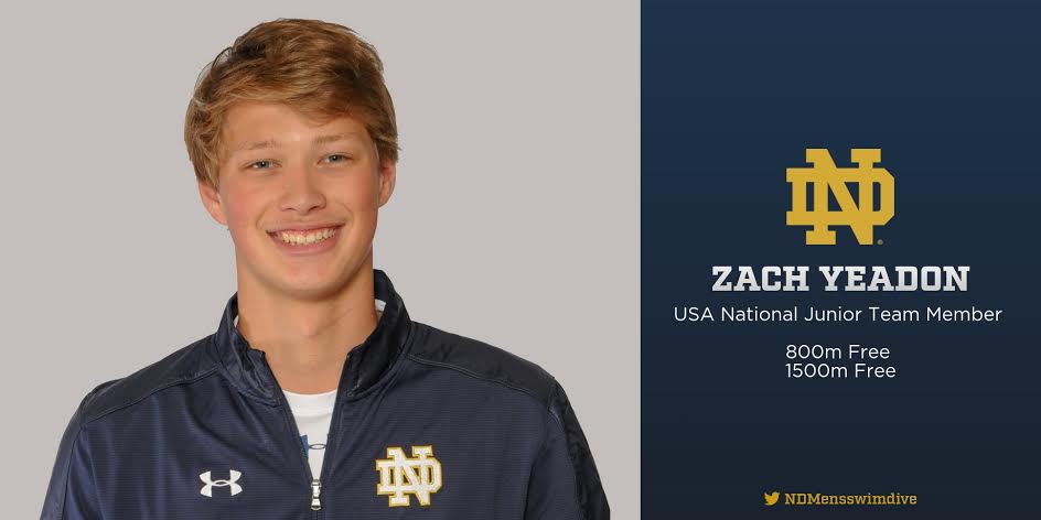 mlitzinger's tweet photo. Big Irish S/O to Freshman Zach Yeadon @NDMensswimdive on his appointment to the USA National Junior Team @USASwimming Well Done! #GoIrish https://t.co/lDZbBEfnrU