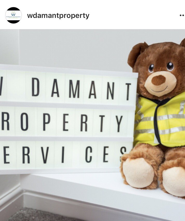 DamantW's tweet photo. Our latest project complete! With Dave the bear getting in on the action too!! #Landlords #PropertyManagement #Investment #project https://t.co/huaBAKjbAl