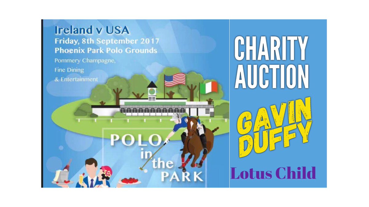 GavinDuffy's tweet photo. Just one sleep to the International Polo in the Park Irl V USA looking forward to being Auctioneer for s great cause @LotusChild_ https://t.co/QbvIckJlky