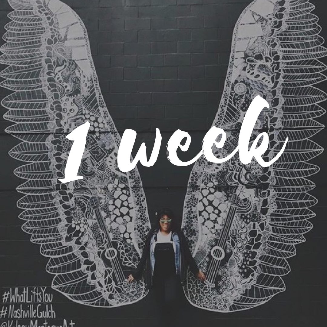 gmupiphi's tweet photo. Only 1 week until recruitment! Our sisters are getting so excited to meet everyone! Sign up today! 💚 #addachaptertoyourstory #mason2021 https://t.co/3LqHuhUYUh