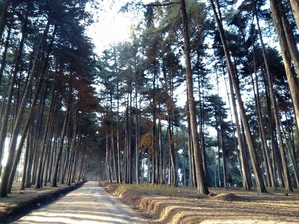 stellamarismega's tweet photo. Make #Mbooni ur next destination& #experience the best of what #LowerEastern has 2 offer. Buzz @munyakanjiru for a hike #GainWithXtianDela https://t.co/COyOZIcwEd