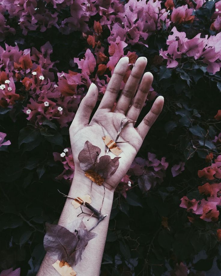 Tumblr Aesthetic Minimalist Aesthetic Flower Wallpaper - Images For Life
