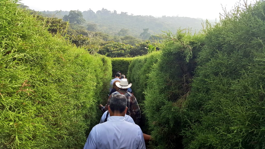 ESAmundo's tweet image. Ministro Duarte inaugura Albania Laberinto Café en Apaneca, una de las nuevas opciones para hacer turismo interno. Fotos/ESAmundo: V.Méndez