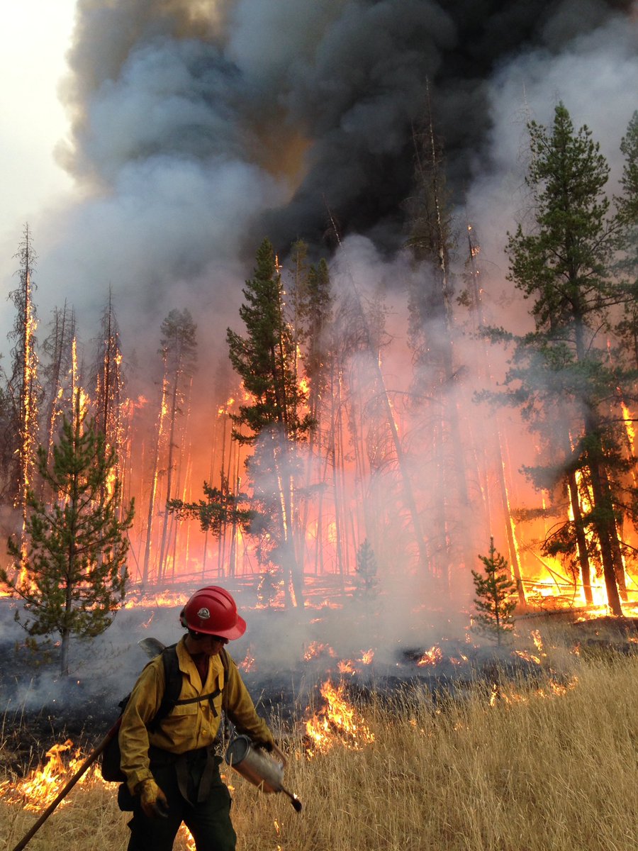 BitterrootIHC's tweet image. Megan lighting it up. Yesterday's work, Division R
