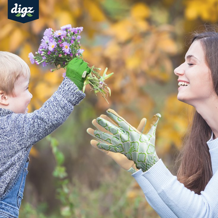 DigzGloves's tweet photo. Special Moments Deserve Special Gloves. #GetYourDigzOn https://t.co/6SkP5hbarG https://t.co/N5gAY96V47