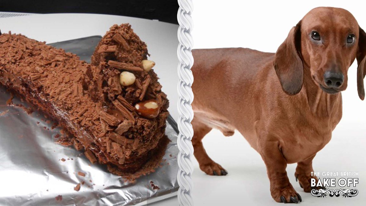 sausage dog cakes