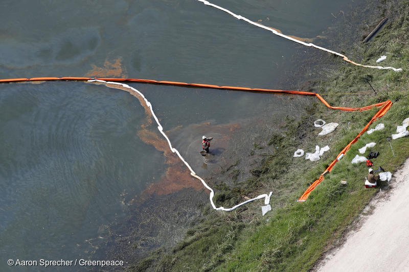 Greenpeace USA tweet media