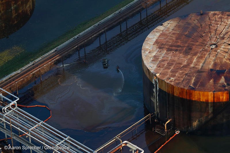 Greenpeace USA tweet media