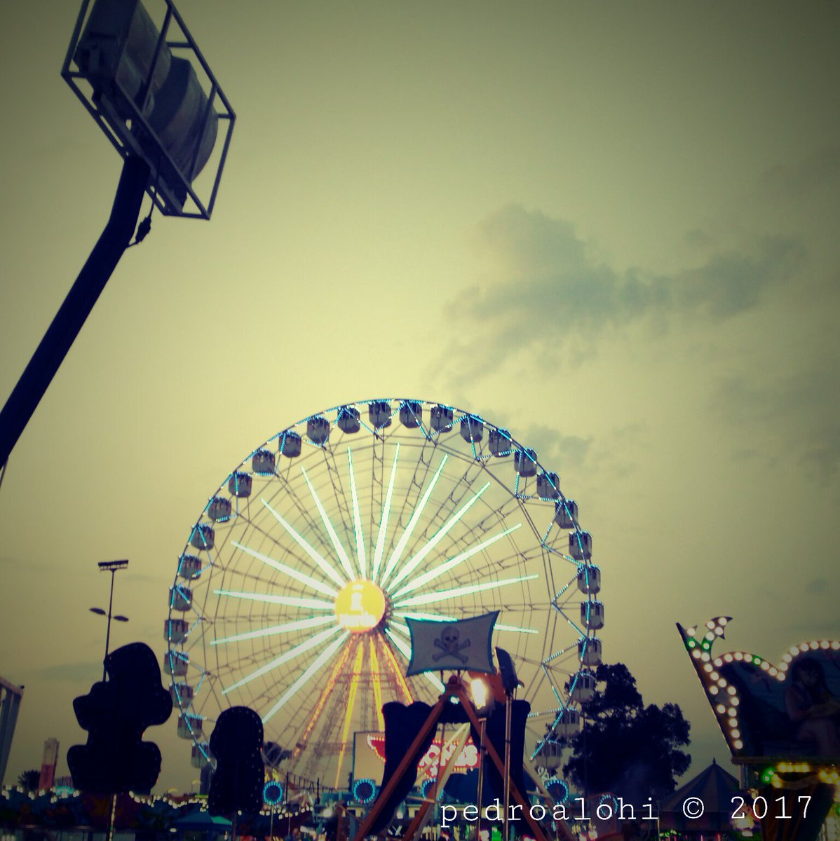 pedroalohi's tweet photo. 🎡🎢🎠Esta tarde ha tocado disfrutar un poco de la #FeriaDeMurcia en el Recinto de la Fica. #FeriaDeLasNovedades #FeriaDeMurcia2017 https://t.co/TBbz8DcUmU