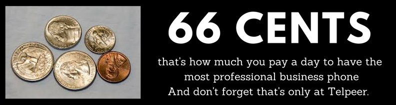 TelpeerNetworks's tweet image. 66 Cents thats how much you pay a day to have the most professional business #phone And dont forget thats only at #Telpeer 
#SmallBusiness