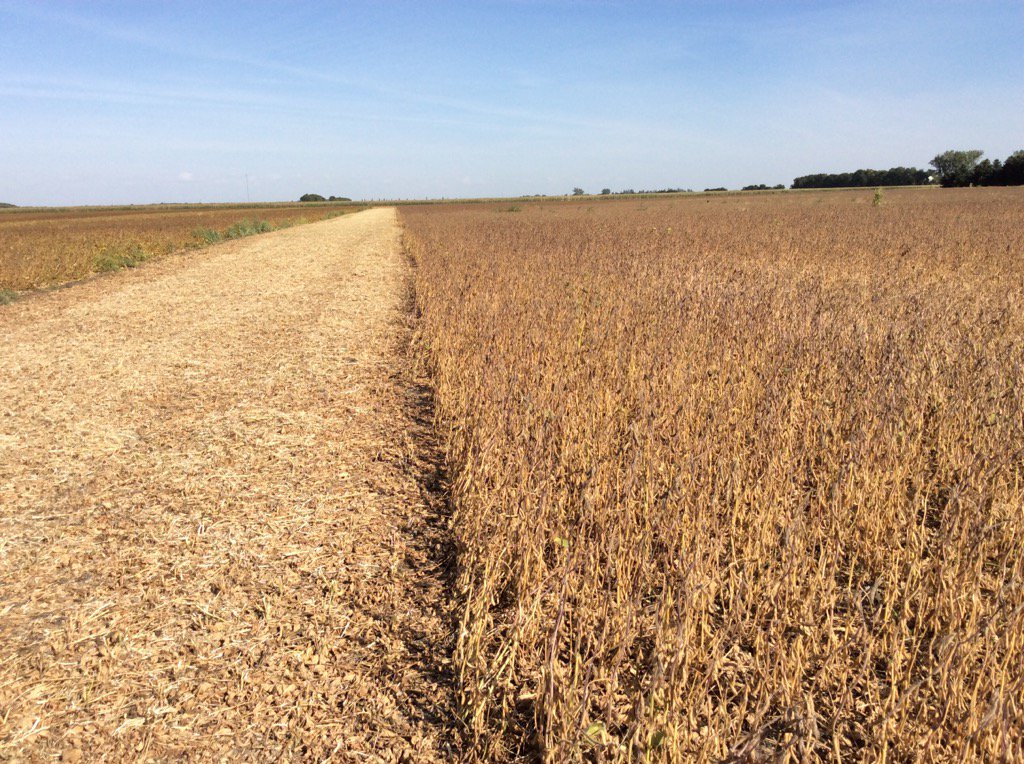 Philip Hildebrand tweet media