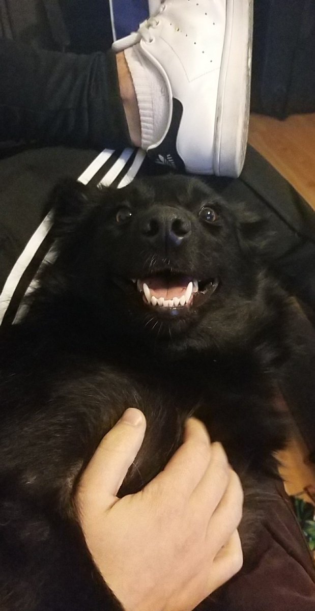 broseidon007's tweet photo. My face knowing Zeke is gonna play Sunday https://t.co/lv90cLcaFs
