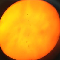 Telescope tweet media