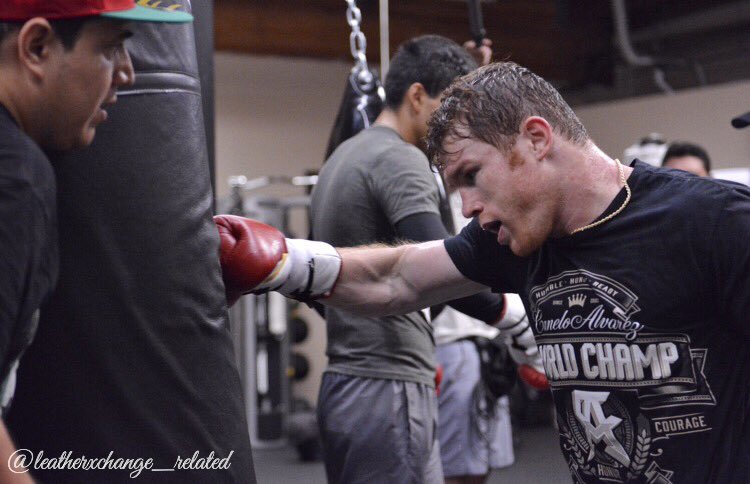 hooksandupsboss's tweet photo. A solo 9 dias #CaneloGolovkin #TeamCanelo
Only 9 days left https://t.co/56kk6yQ5jK