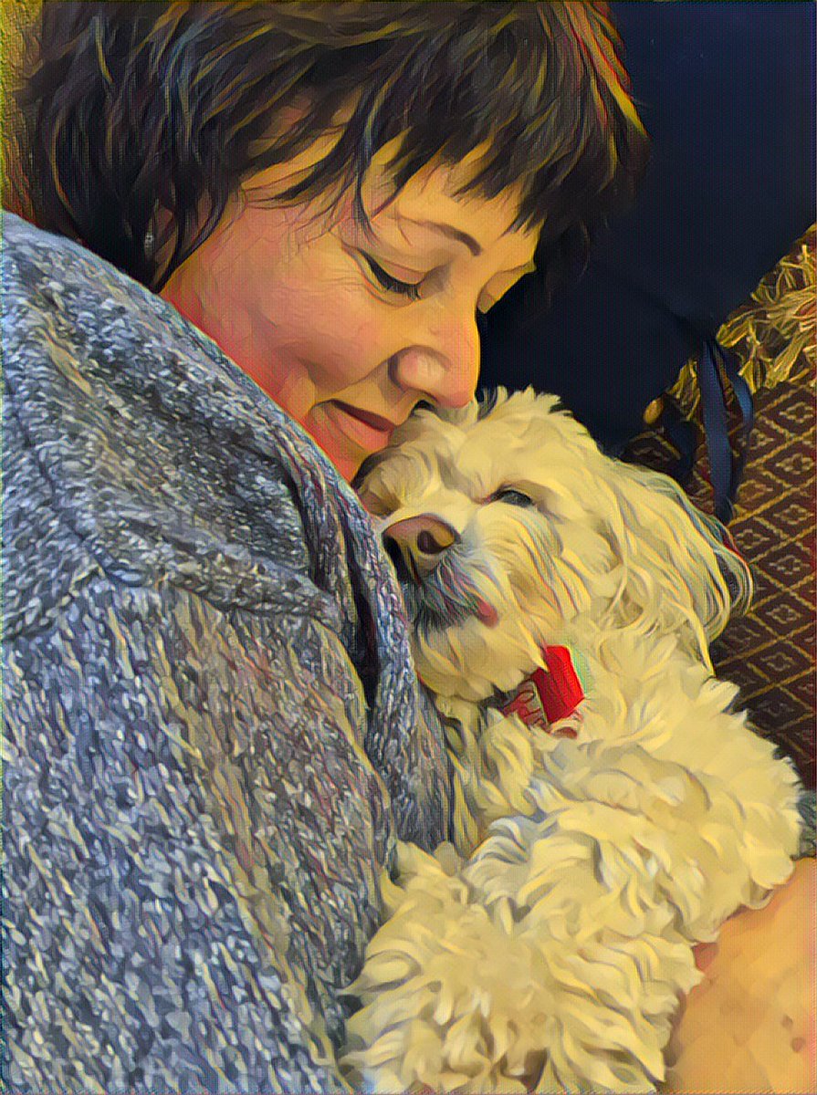 Laurenbdavis's tweet photo. #DogTraitsHumansNeed the gentlest, most authentic love in the cosmos. https://t.co/ZIOZQRPHJW