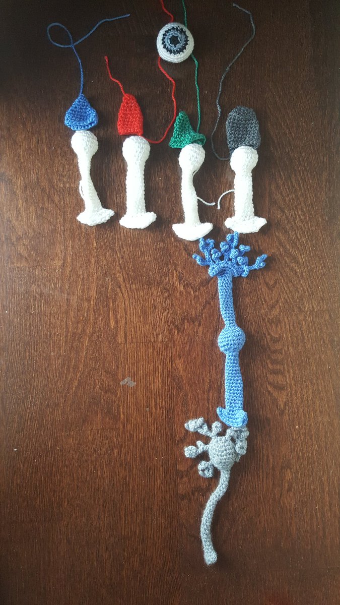 Thepurplelilac's tweet photo. Trying to be creative and design my own pattern #crochet #Science #scicomm https://t.co/MXvb18cCYW