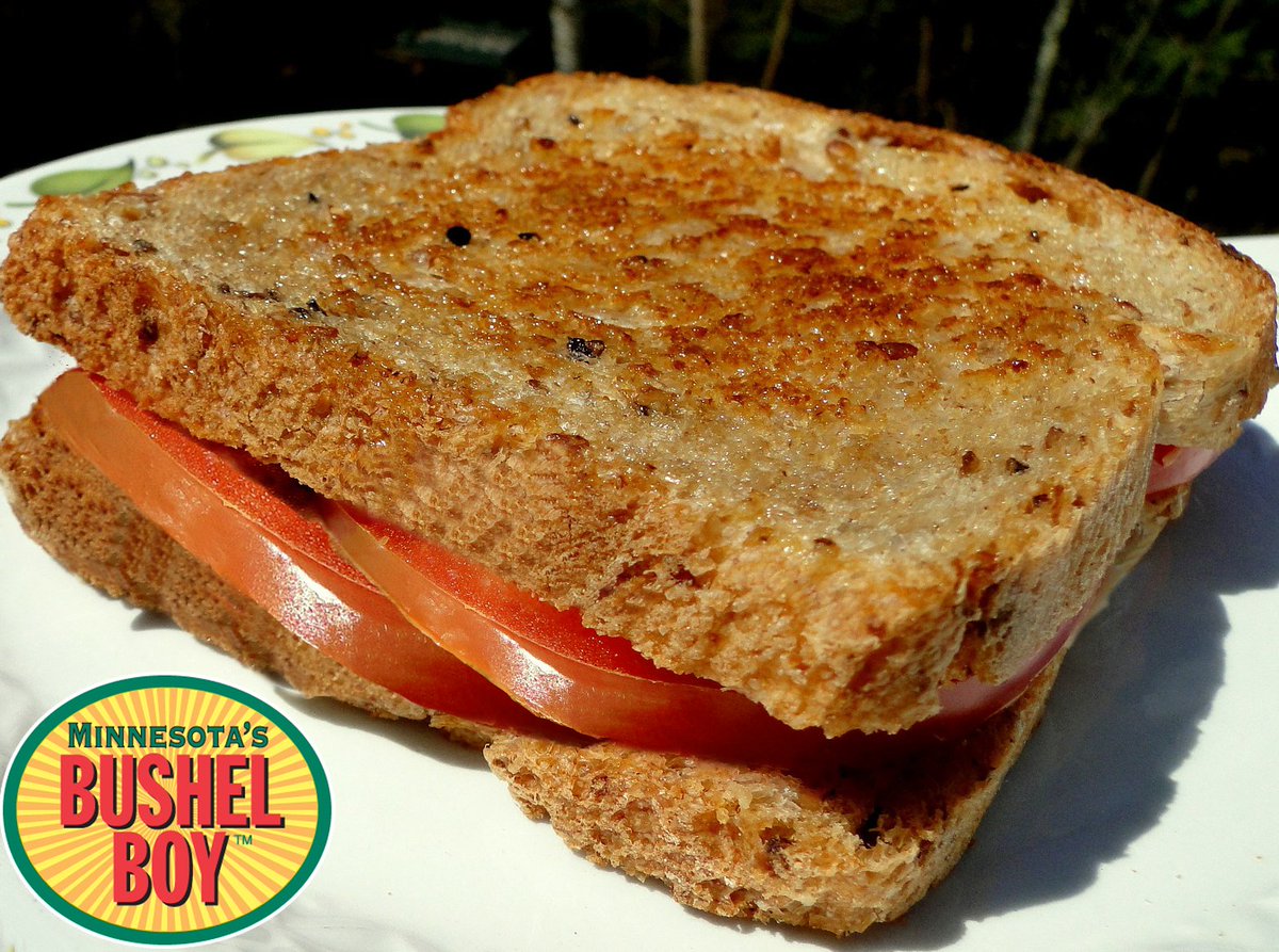 Tomato Sandwiches with thick slices of Bubba beefsteak tomatoes are easy  and delicious! Mayo, salt and pepper encouraged, but not required!