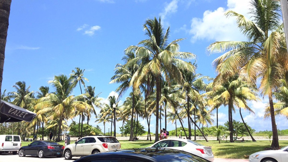 cass__9's tweet photo. Irma please don't ruin this beautiful state I call home 💛🐬🌼🌊☀️🌴 https://t.co/Il1gCbcERS