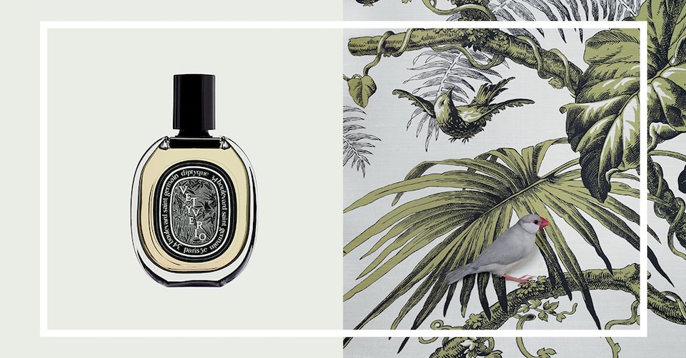 Discover Vetyverio in eau de parfum, where vetiver takes centre stage. A must for every vetiver addicts. #SSILIFE