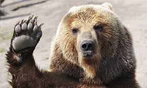 NPCA's tweet image. RT to thank @RepJayapal for speaking up for Alaska’s wildlife and voting NO on @repdonyoung amendment.