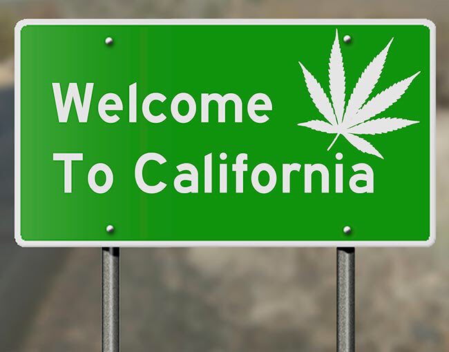 FunnerGoodman's tweet image. #medicalmarijuana here for years! Recreational marijuana is coming soon making #funnercalifornia ever funnier! @DavidHasselhoff is #funner!