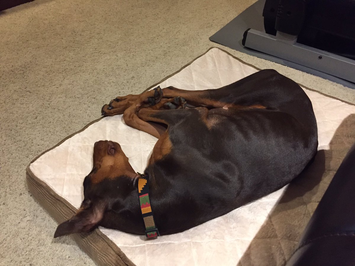 Lisa Pierozzi tweet media