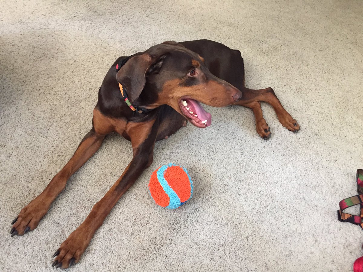 Lisa Pierozzi tweet media